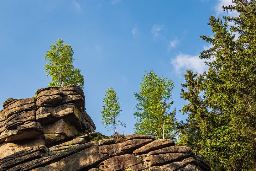 Landschaft mit Bäumen und Felsen im Harz von Rico Ködder