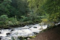 Die Eremitage, Dunkeld, Schottland 2