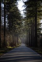 Die schönste Straße der Niederlande