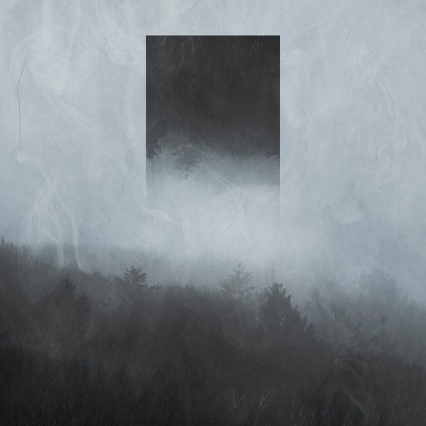 Reflet géométrique - Forêt de brouillard le matin par Dirk Wüstenhagen