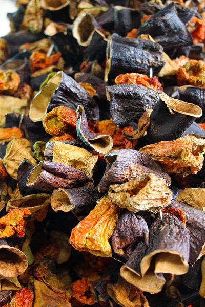 dehydrated vegetables by Marieke Funke