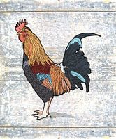 the rooster