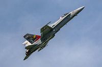 F/A-18 Swiss Hornet Solo Display Team.