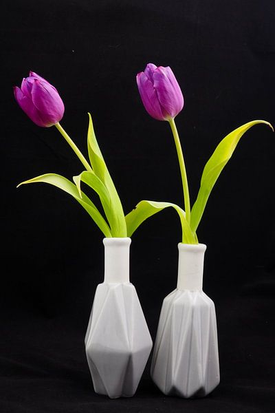 Les tulipes dansantes par Marianne Espeldoorn