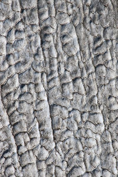 Structuur van oude sneeuw op een gletsjer von Gerben Tiemens