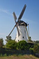 Le moulin blanc à Nimègue