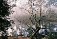 Naturschutzgebiet der Uitlegger