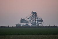 Weaners Garzweiler open pit mine
