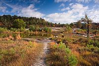 Roode Beek @ Brunssummerheide