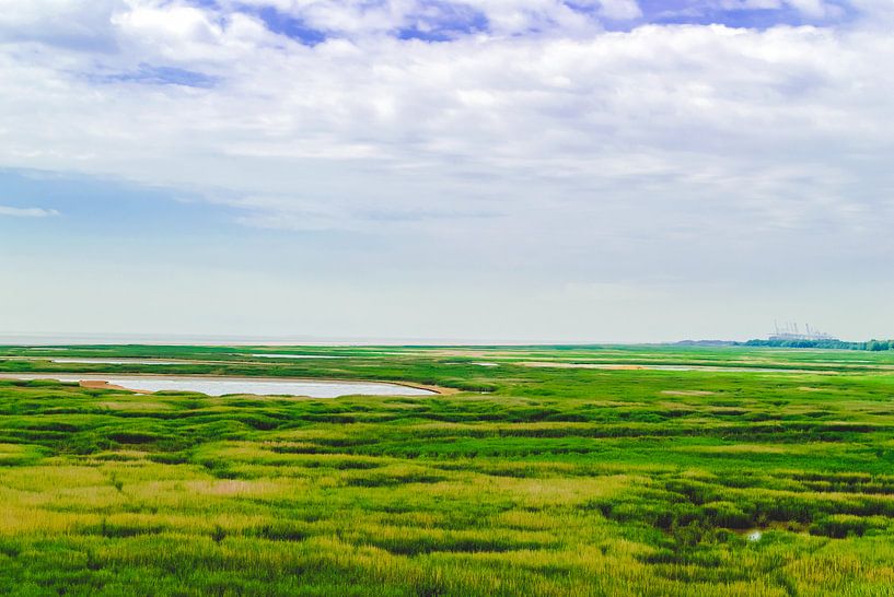 Pont de Normandie von Lisa Vollebregt
