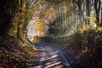 Ochtendzon in Limburg