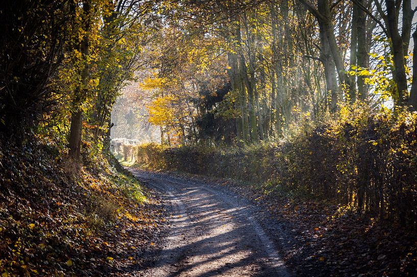 Ochtendzon in Limburg von Herman Coumans
