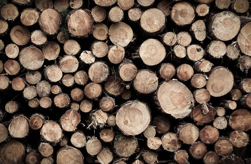 banal par Marco Jansen