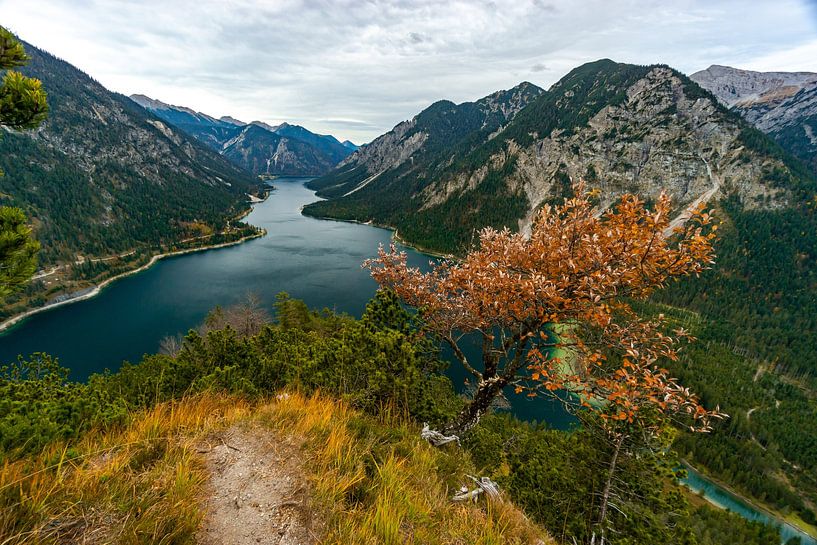 Herbst am Plansee von Leo Schindzielorz