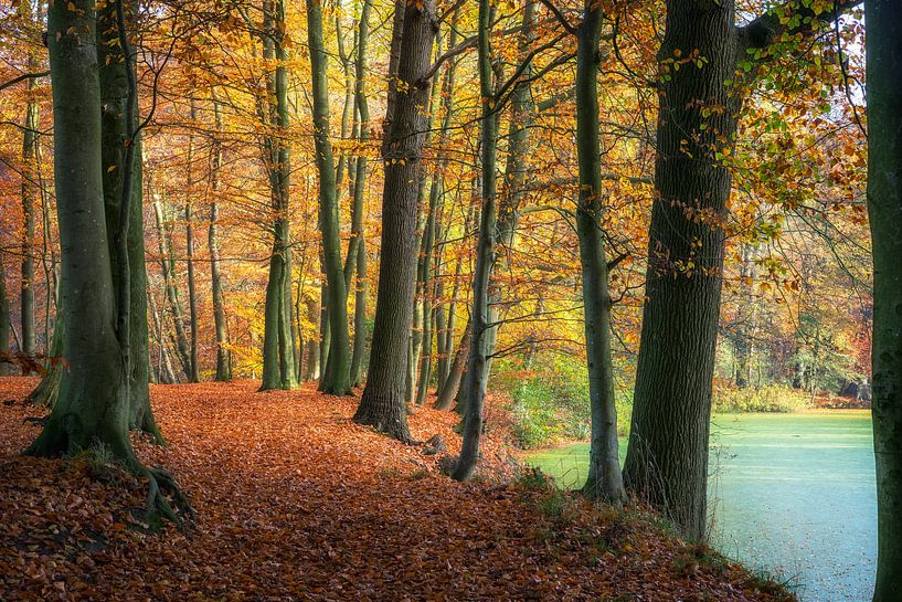 Voorst von Frederik van der Veer