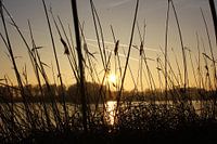 Riet en zonsondergang in Geestmerambacht