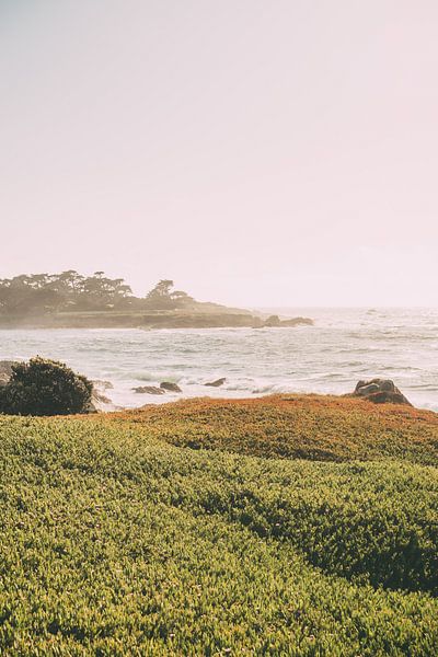 Coucher de soleil en Californie par Patrycja Polechonska