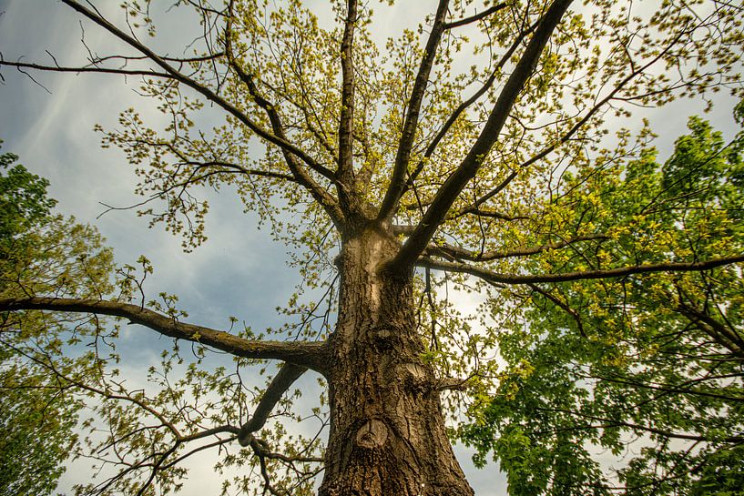 Paysage dans l'Erzgebirge par Johnny Flash