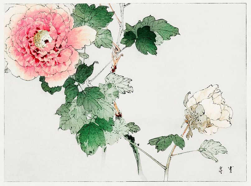 Pivoine par Watanabe Seitei. Peinture japonaise par Dina Dankers
