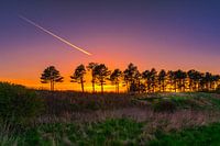 Øster Hurup Coast (Dänemark)