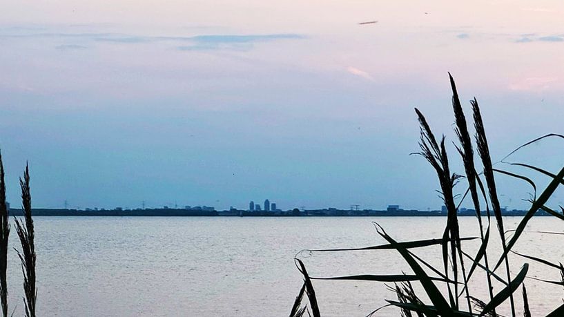 Der Deich von Marina Nieuwenhuijs