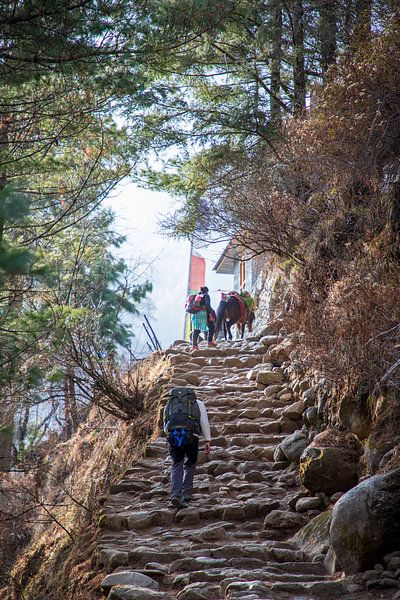 The last bits, day 1 from Lukla to Monjo by Ton Tolboom