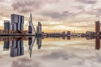 City Thrills vs. Serenity