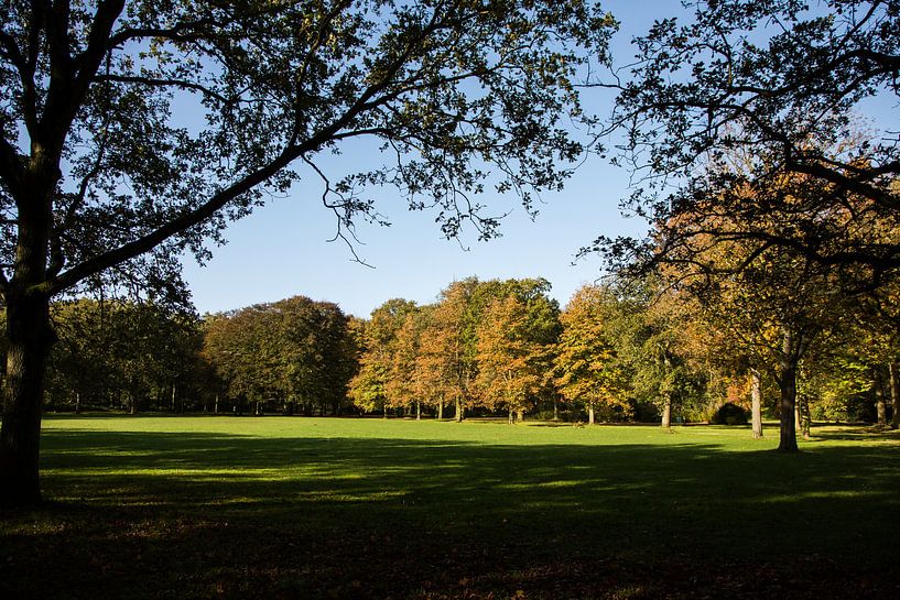 Herfst landschap von Menno Schaefer