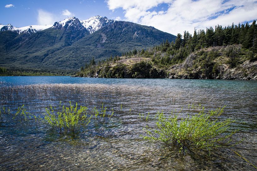 Ontdek de Onontdekte Schoonheid van Parque Municipal Puerto Bonito! ? van Eriks Photoshop