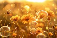 Das goldene Lächeln der Natur