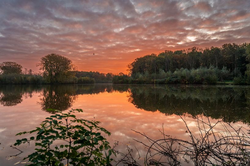 Rijswijk - Sonnenaufgang im Wilhelminapark (0095) von Reezyard