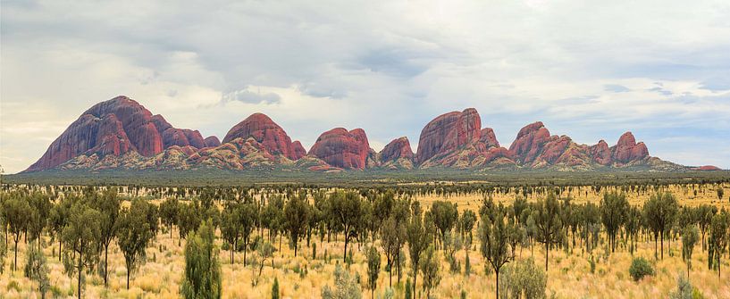 Panorama of Kata Tjuta, Olgas, Northern Territory of Australia par Henk van den Brink
