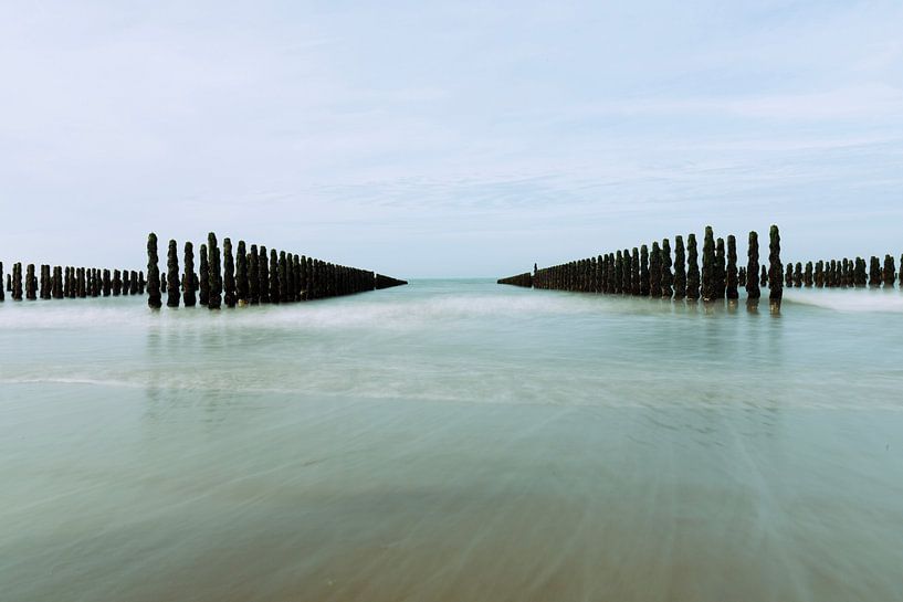 Mussel piles in the sea by bianca post