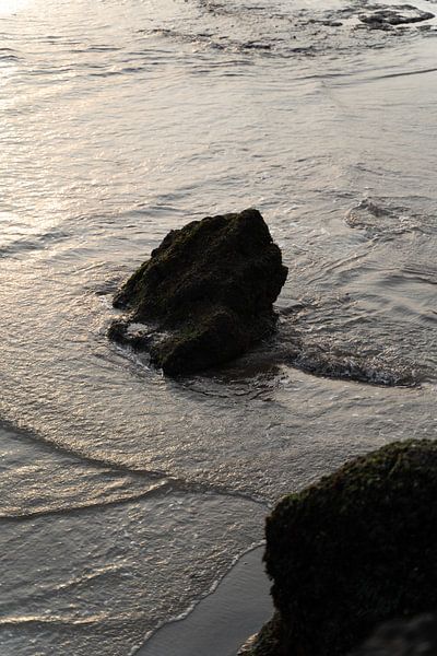 Felsen im Wasser von Xulé Bogers