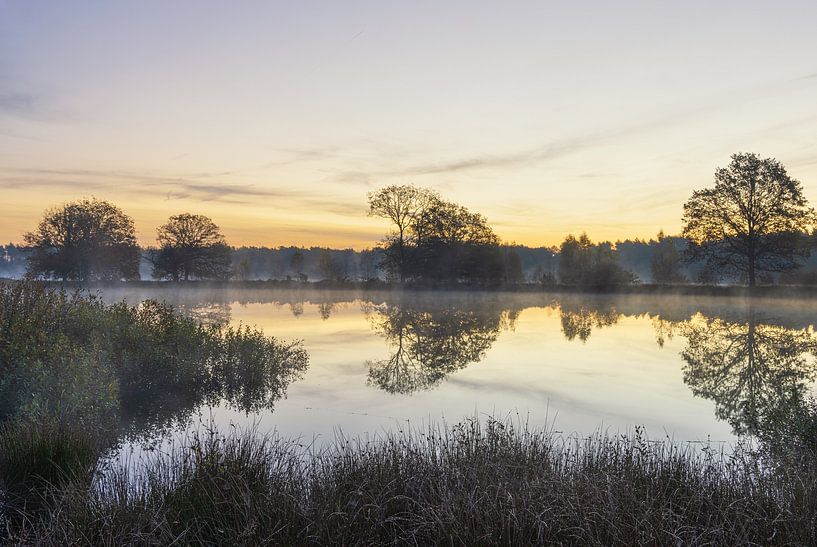 Sonnenaufgang Dwingelderveld - Die Niederlande (Drenthe) von Marcel Kerdijk