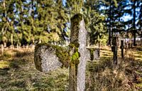 Cemetery of the Insane