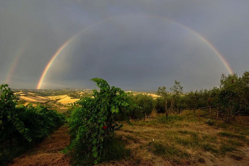 Regenboog en druiven - Toscane - Italie par Jeroen(JAC) de Jong