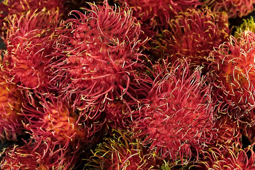 The rambutan, the gourmet jewel of the tropics by Frank Photos