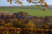 Herbst auf dem Gulperberg
