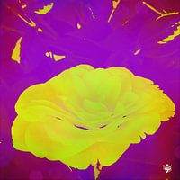 BLUME 19 - Moderne Wandkunst