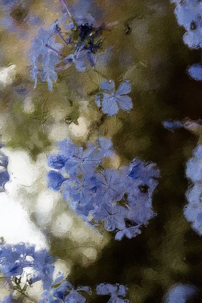 Blue flowers in oil paint by Quay Art