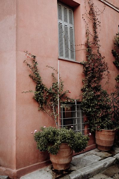 La maison rose avec du lierre à Athènes par Linn Fotografie