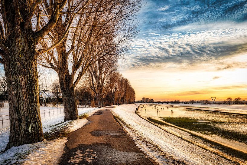 Winterlandschaft mit Baum und Schnee und Wolkenformation am Rhein bei Düsseldorf von Dieter Walther