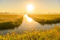 Sunrise over meadows near Kampen during springtime