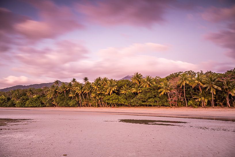 Palmenstrand bij Cape Tribulatio. par Anneke Hooijer