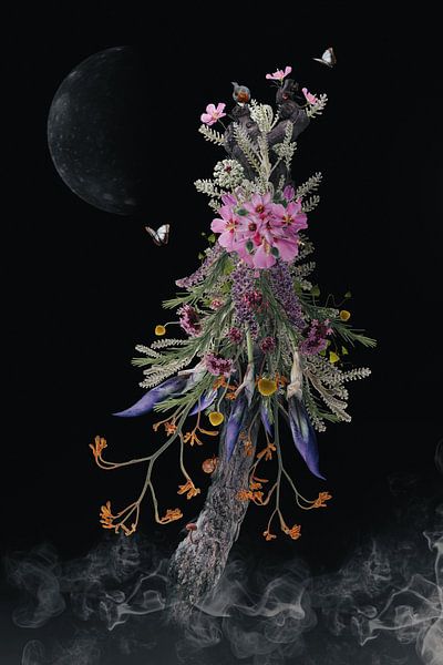 aufgetakelt für die Nacht von Klaartje Majoor