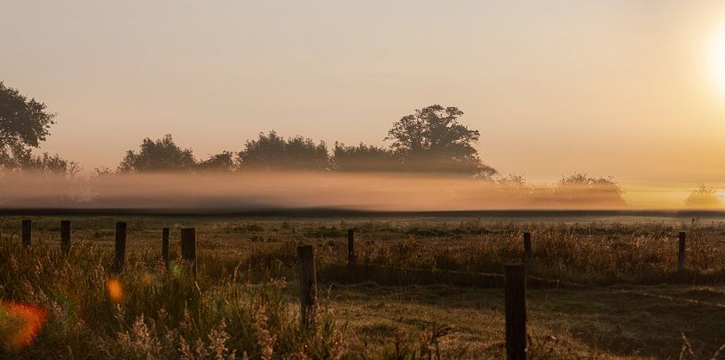 Tau Polder Morgenlicht von Percy's fotografie