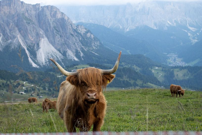 dolomites by Sebastian Stef