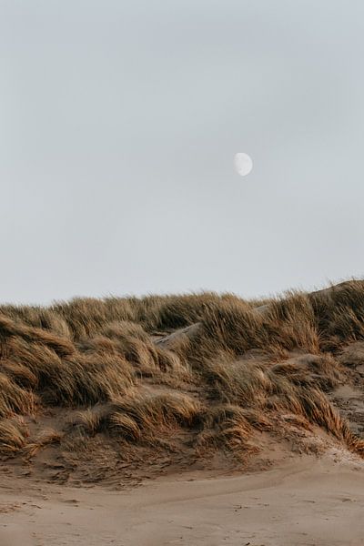 Winter beach walks #6 by Elise van Gils