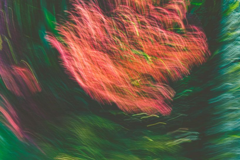 Rain of fire in t green by Jan Peter Jansen